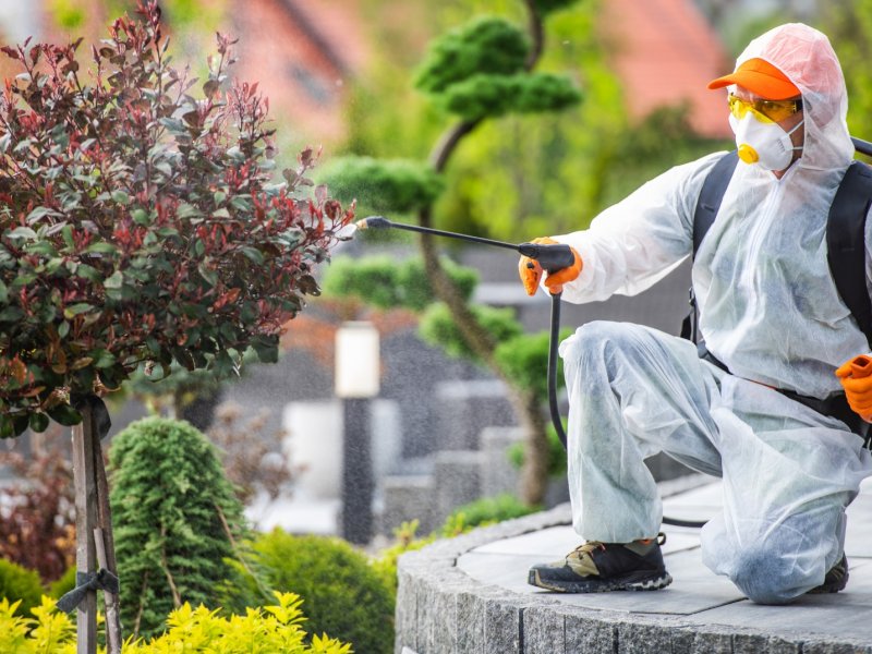 Erbaa Haşere İlaçlama